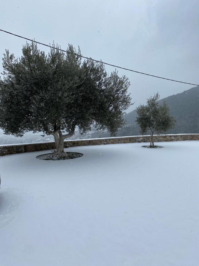 Αρχοντικό Γκιντώνη Διαμέρισμα Λεβίδι Εξωτερικό φωτογραφία